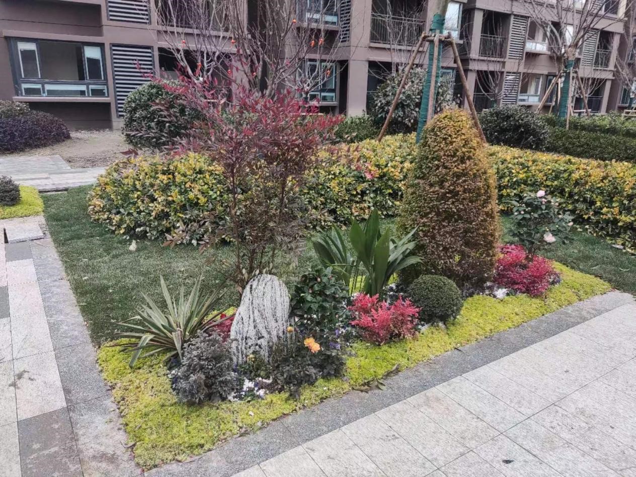 2551ױϷ깤